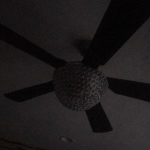 Meet your Posher, Deitra